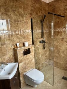 a bathroom with a shower and a toilet and a sink at Villa Speranza Kościelna Droga 12 in Łomianki Dolne +40 photos