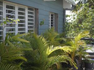 a blue house with plants in front of it at Man silly in Port-Louis