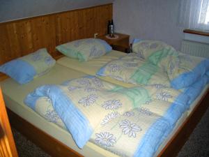 two twin beds with blankets and pillows on them at Ferienhaus Inge in Ilmenau +2 photos