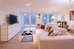 a living room with a couch and a tv at Hermine, Black Forest Retreat, mit Sonnenterrasse in Baiersbronn