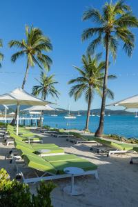 a row of green lounge chairs and umbrellas on a beach at Coral Sea Resort in Airlie Beach