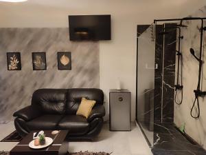 a living room with a leather couch and a television at ViP in Veria