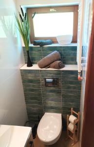 a small bathroom with a toilet and a window at Vicze Apartmanház in Siófok +43 photos