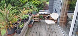 a patio with a bunch of potted plants and a chair at Private cabin in Whitianga