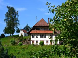 una casa en la cima de una colina con un árbol en Ferienhaus Hubhof, en Oberharmersbach