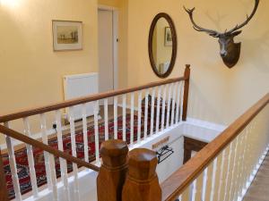 a staircase with a mirror and a deer head on the wall at Hawthorn in Llanddona