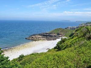 a view of a beach with the ocean at Hawthorn in Llanddona +2 photos