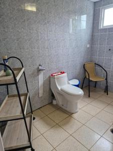 a bathroom with a toilet and a chair in it at Cabaña Los Notros in Colonia Alerce