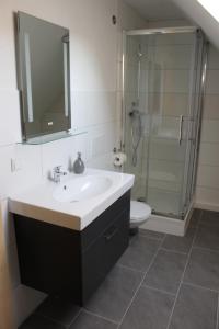 La salle de bains est pourvue d'un lavabo, d'une douche et de toilettes. dans l'établissement Ferienwohnung Rimbach, à Rimbach
