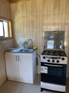 a kitchen with a stove and a sink at Cabañas Anny 2 in Linares