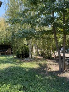 a park with a bench and trees and grass at Cabañas Anny 2 in Linares +1 photo