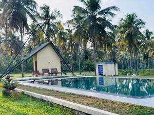 a house with a swimming pool in front of palm trees at Deduru Oya Cinnamon Gardens in Barandara +25 photos