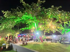 a park with tables and trees at night at AP mobiliado em Guaibim in Guaibim +21 photos