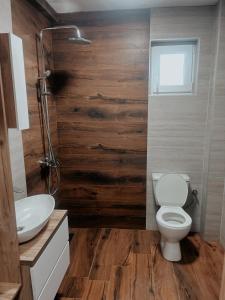 a bathroom with a toilet and a sink at Vila Davidoski in Mavrovo +7 photos