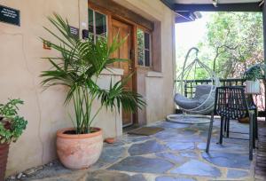 a potted plant sitting on a patio at Kaesler Cottages in Nuriootpa +25 photos