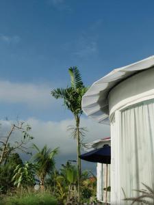 a palm tree next to a building with a palm tree at De Silaa House & Pool in Bangli +6 photos