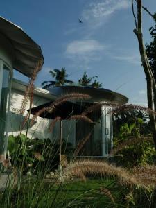 a house with tall grass in front of it at De Silaa House & Pool in Bangli