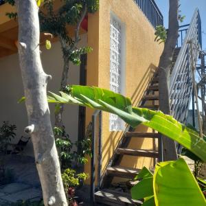 a set of stairs leading up to a house with trees at NT Bell Homestay in Ninh Hải
