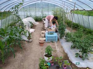 a man and a child working in a greenhouse at 宿　大都会 in Nishitappu
