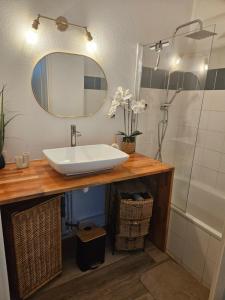 a bathroom with a sink and a shower at Appartement dans résidence in Muret +16 photos