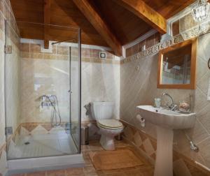 a bathroom with a shower and a toilet and a sink at Thia Maria in Chania