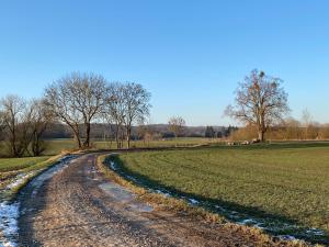 a dirt road in the middle of a field at Kleine Auszeit in Oderberg