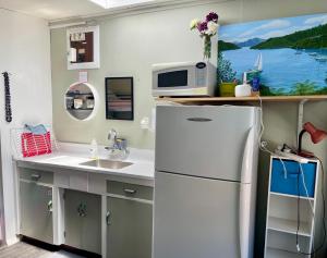 a small kitchen with a refrigerator and a sink at Jack's Backpackers in Blenheim