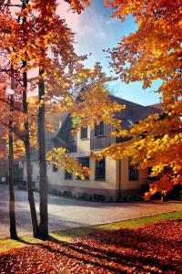 una casa con árboles de otoño delante de ella en Willa Strzelnica, en Kościerzyna