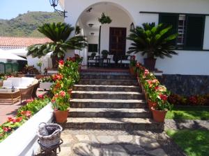 A garden outside Malpais Trece