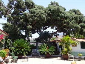 A garden outside Malpais Trece