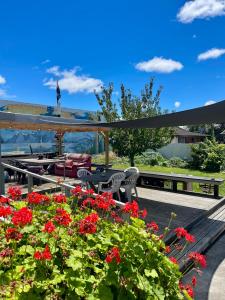 a patio with red flowers and a bench and a gazebo at Jack's Backpackers in Blenheim