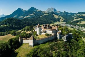 an old castle on a hill with mountains in the background at Guesthouse La Moliere, 3 bedrooms, private house, horse farm, full nature in Murist