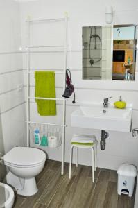 La salle de bains est pourvue d'un lavabo, de toilettes et d'un miroir. dans l'établissement Marina Holiday Home, à Pizzo