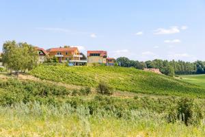 a house on top of a green hill at Weinhof Reichmann in Sankt Peter am Ottersbach