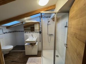 a bathroom with a shower and a toilet and a sink at Ferienwohnung Garber in Uderns