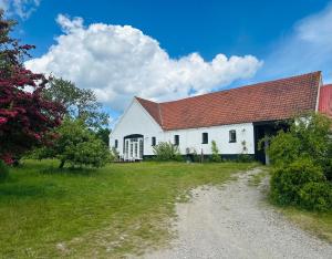 a white barn with a red roof on a field at Camønogaarden B&B, darksky cabins and events in Borre