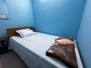 a blue room with a bed with a blanket on it at Hotel Shopno Abasik in Dhaka