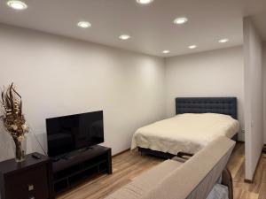 a living room with a bed and a flat screen tv at Studio Ap in Visaginas