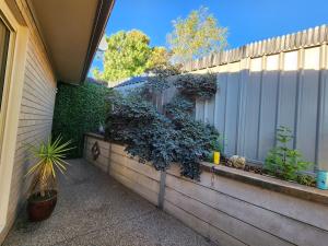a fence with a plant on the side of it at The Nest at Forest Lake - Stylish Guest Suite in Kangaroo Flat