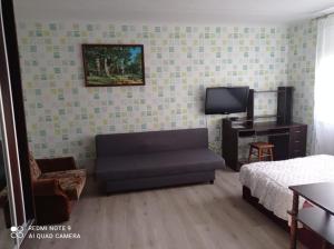 a living room with a couch and a tv at Teatra 34 in Daugavpils