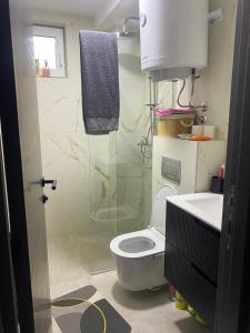 a bathroom with a shower and a toilet and a sink at ChiaraKop in Kopaonik