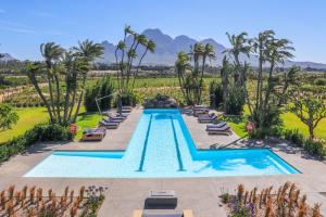 an infinity pool at the resort with palm trees at Ludus Magnus Boutique Hotel in Franschhoek