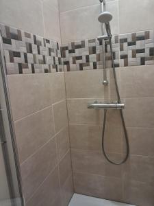 a shower with a hose in a bathroom at Les Gîtes de Sophinette in Dompierre-les-Ormes +8 photos