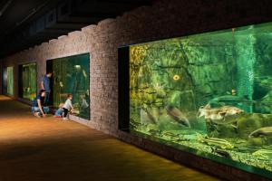 a family looking at fish in a large aquarium at Hotel Meilenstein in Langenthal