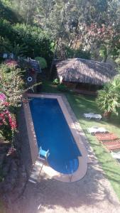 Kolam renang di atau dekat dengan Guesthousejane Villa & Apartments +35 gambar