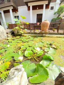 a pond with green leaves and flowers in a yard at Villa Chaluenxay Boutique Hotel 2 in Luang Prabang