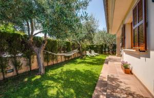 a backyard with a tree and a fence at Calma De Son Serra De Marina in Son Serra de Marina