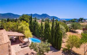 an aerial view of a garden with a swimming pool and trees at Sa Plana in Cala Bona