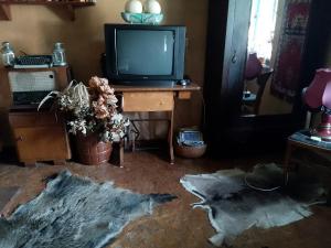 a living room with a tv and a table with a tvictericter at Zagroda Zalipie in Gostynin