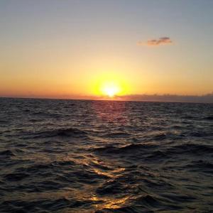 a sunset over the ocean with the sun setting at Rose Dead Sea Neve Zohar in Neve Zohar